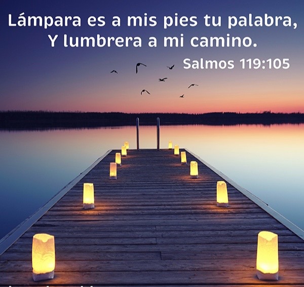 @rebeca10