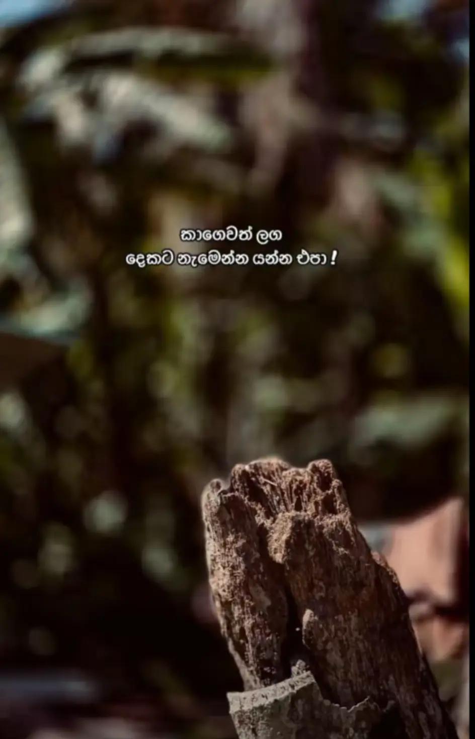 @G E E T H M A 🧚🎀