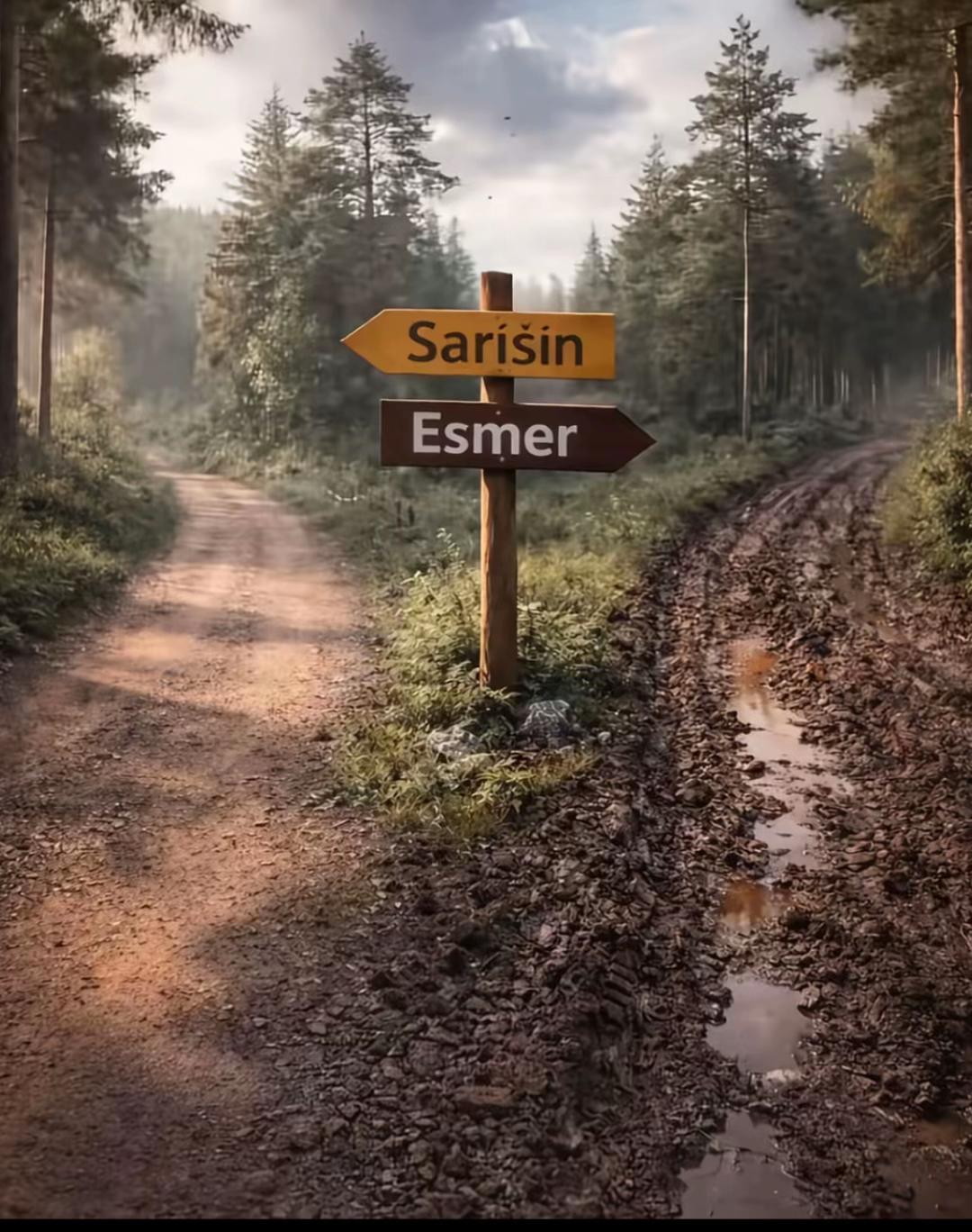 @İlayda Çetin