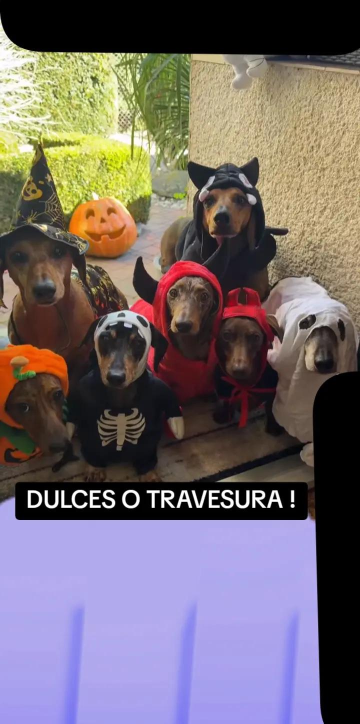 @JAIMI4TO