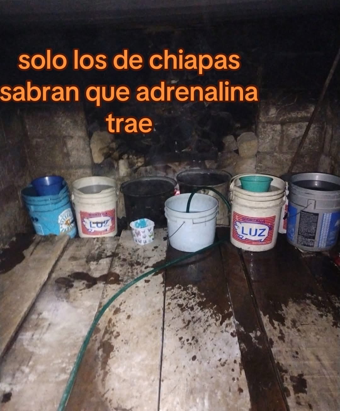 @carlos