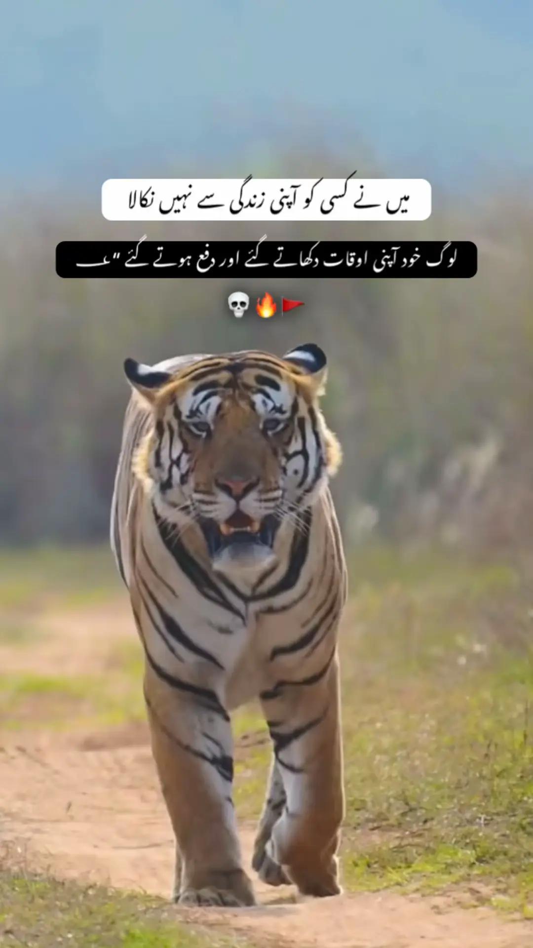 @Mr _stylish