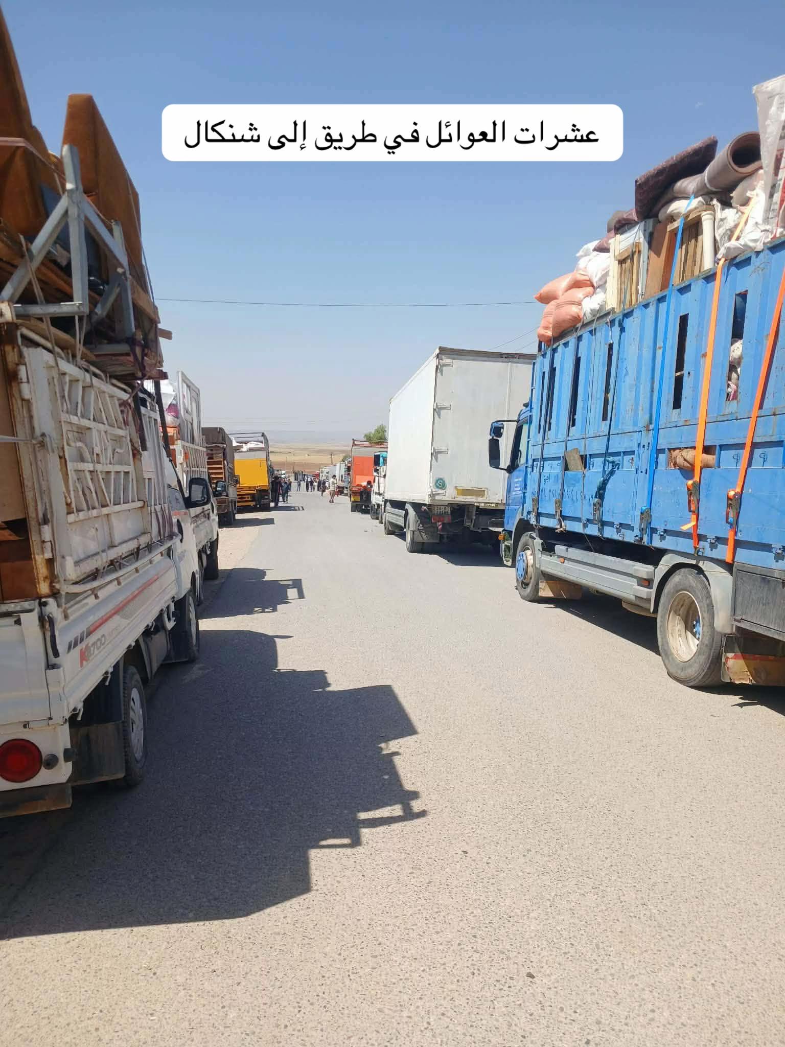 @shingal_1
