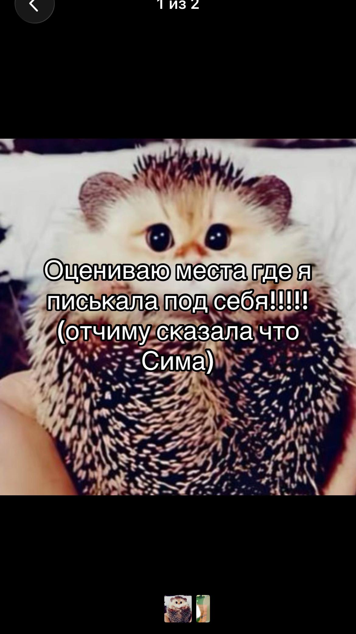 @cryshina