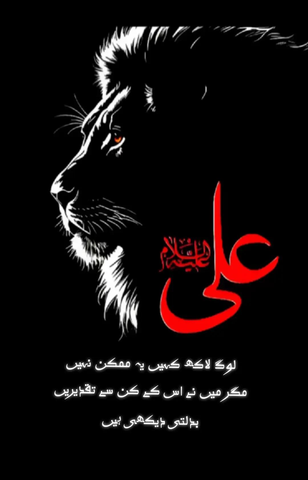 @༒BlacK🖤wOLf💥༒