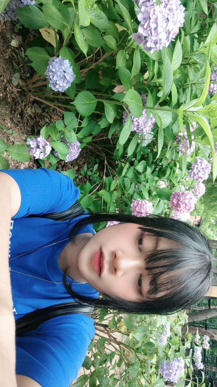 @Akiya 秋哉