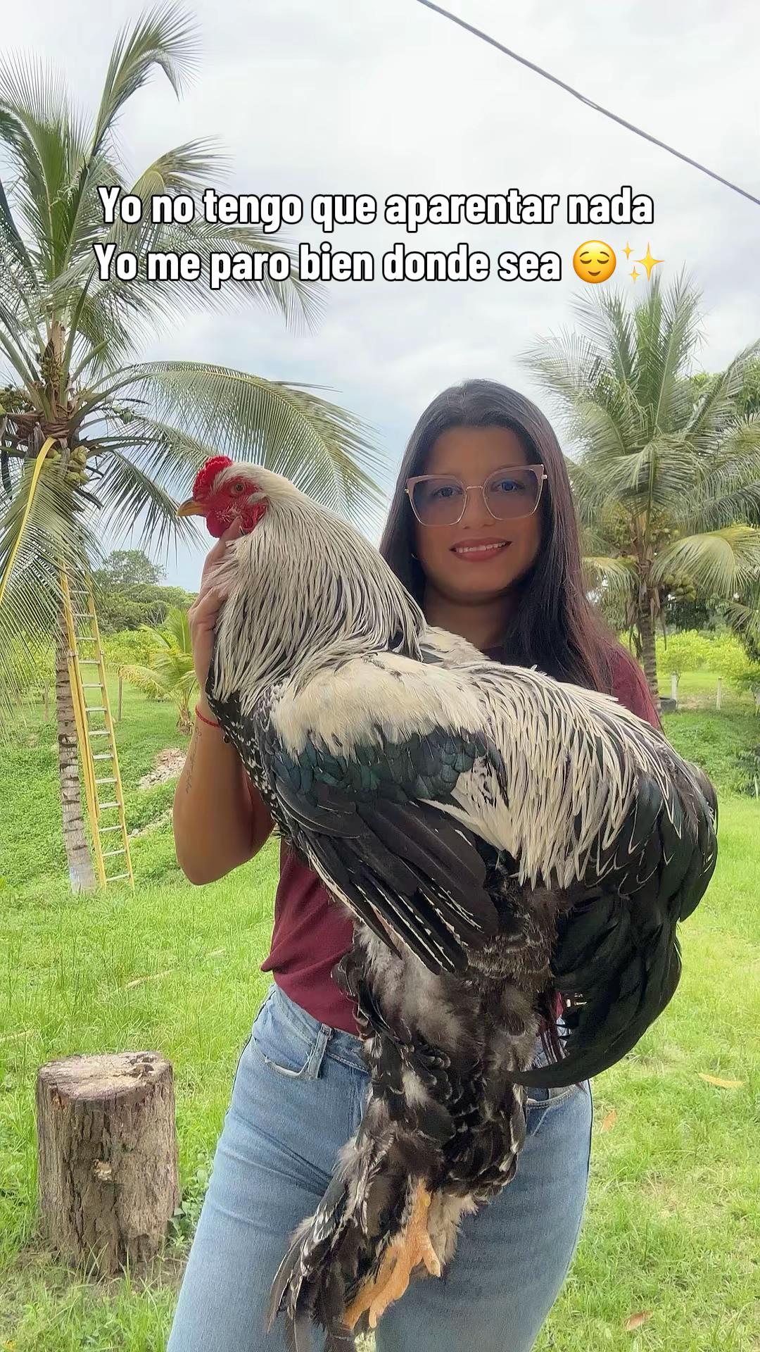 @Granjamascotalandiayaracuy
