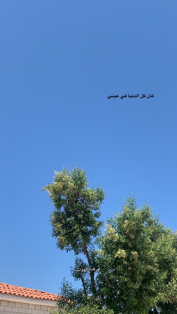 @﮼غُــرُوب. ✪