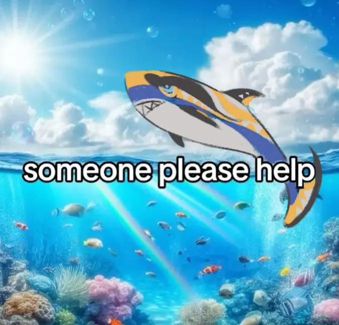 @Шишмиш