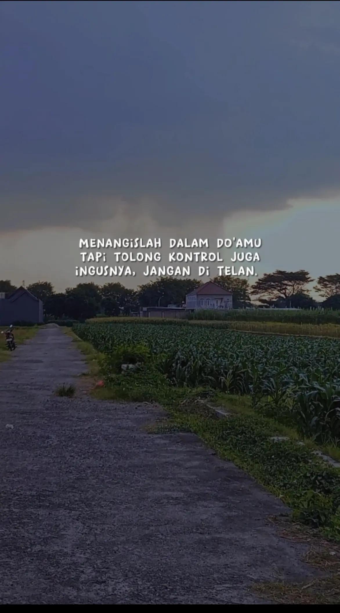 @sang musafir