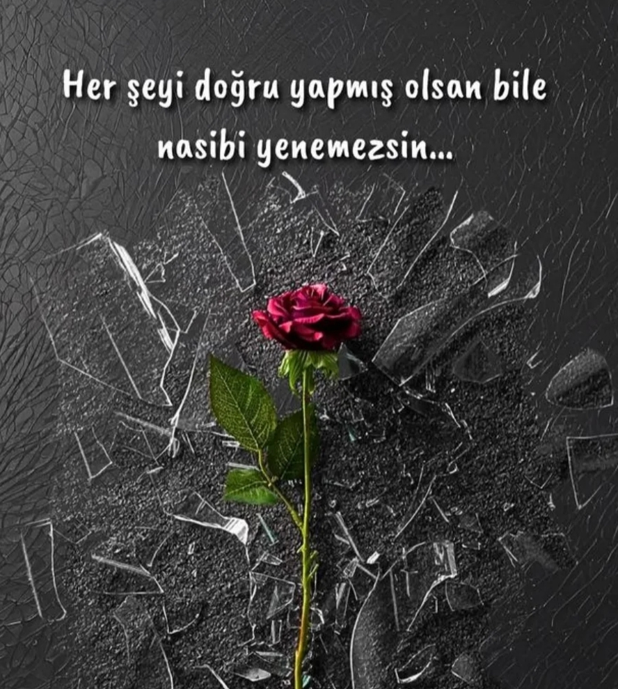 @💟DOĞA 🤍💜