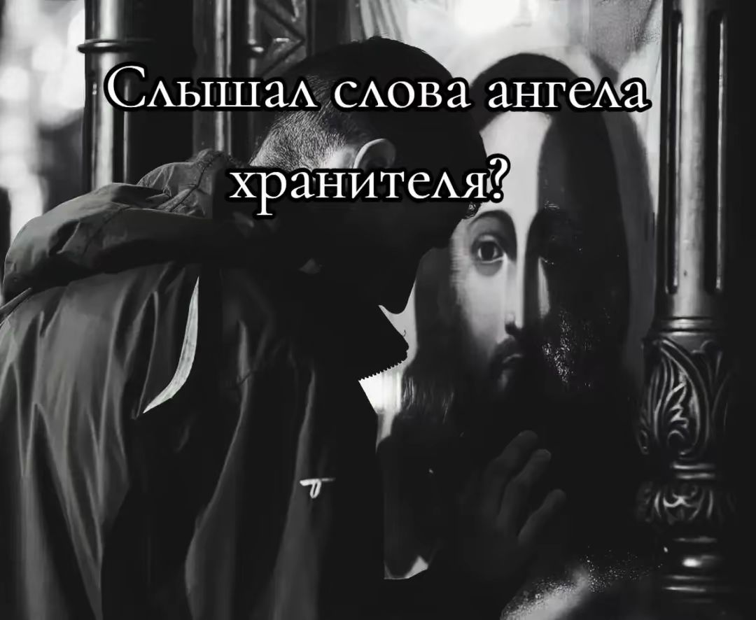 @♡𝔅𝔞𝔫𝔡𝔦𝔱𝔨𝔞♡