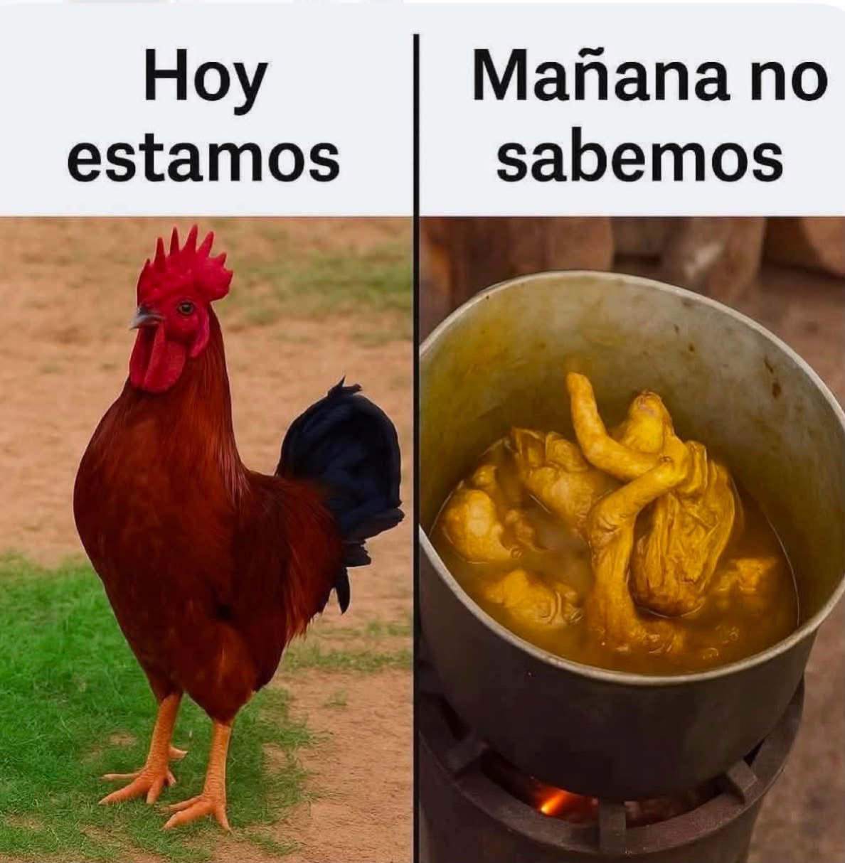 @ZulmaP&eacute;rez79