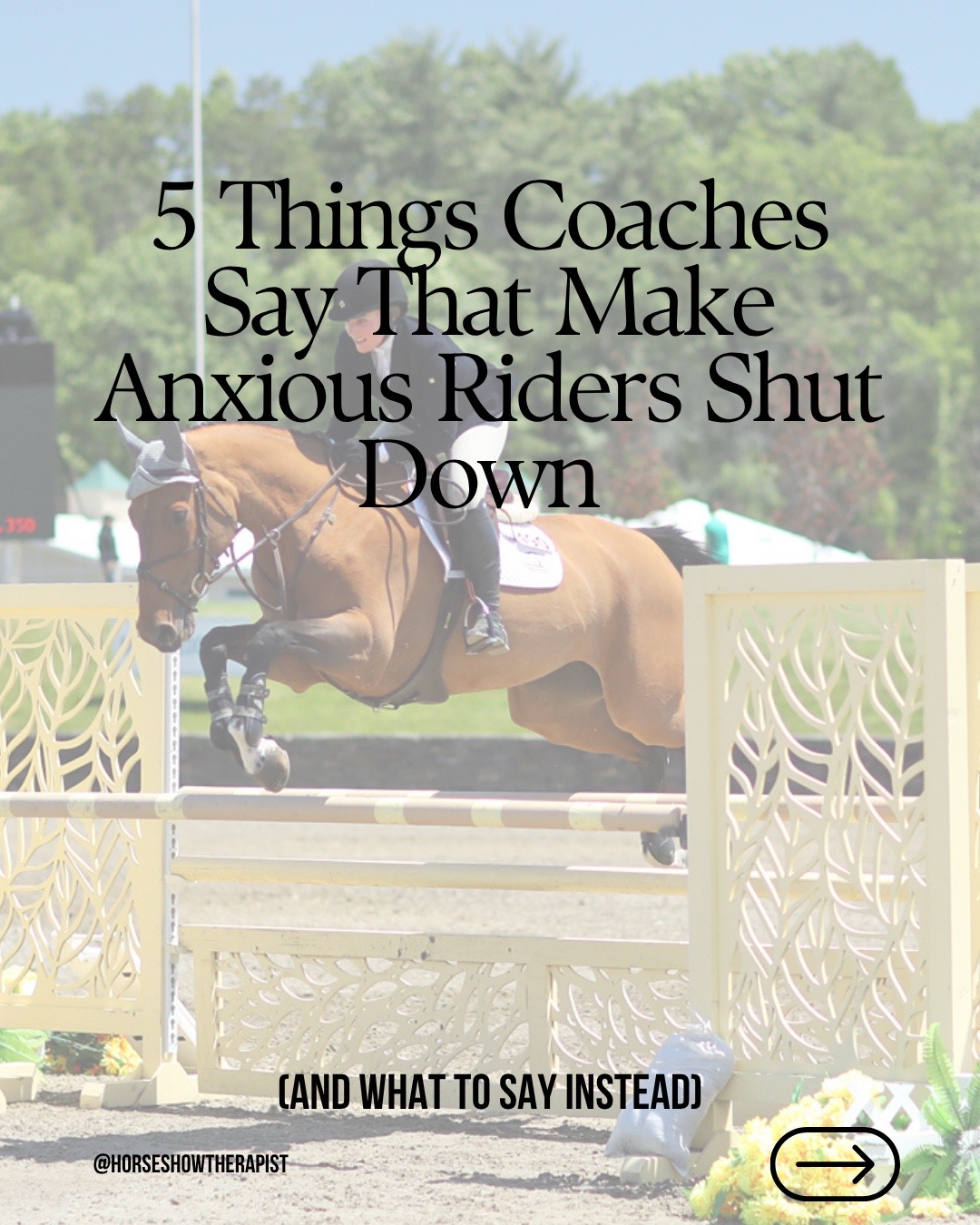 @Dr. J | Horse Show Therapist