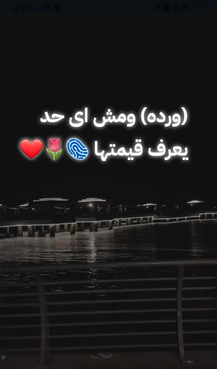 @W4rd4 🫆