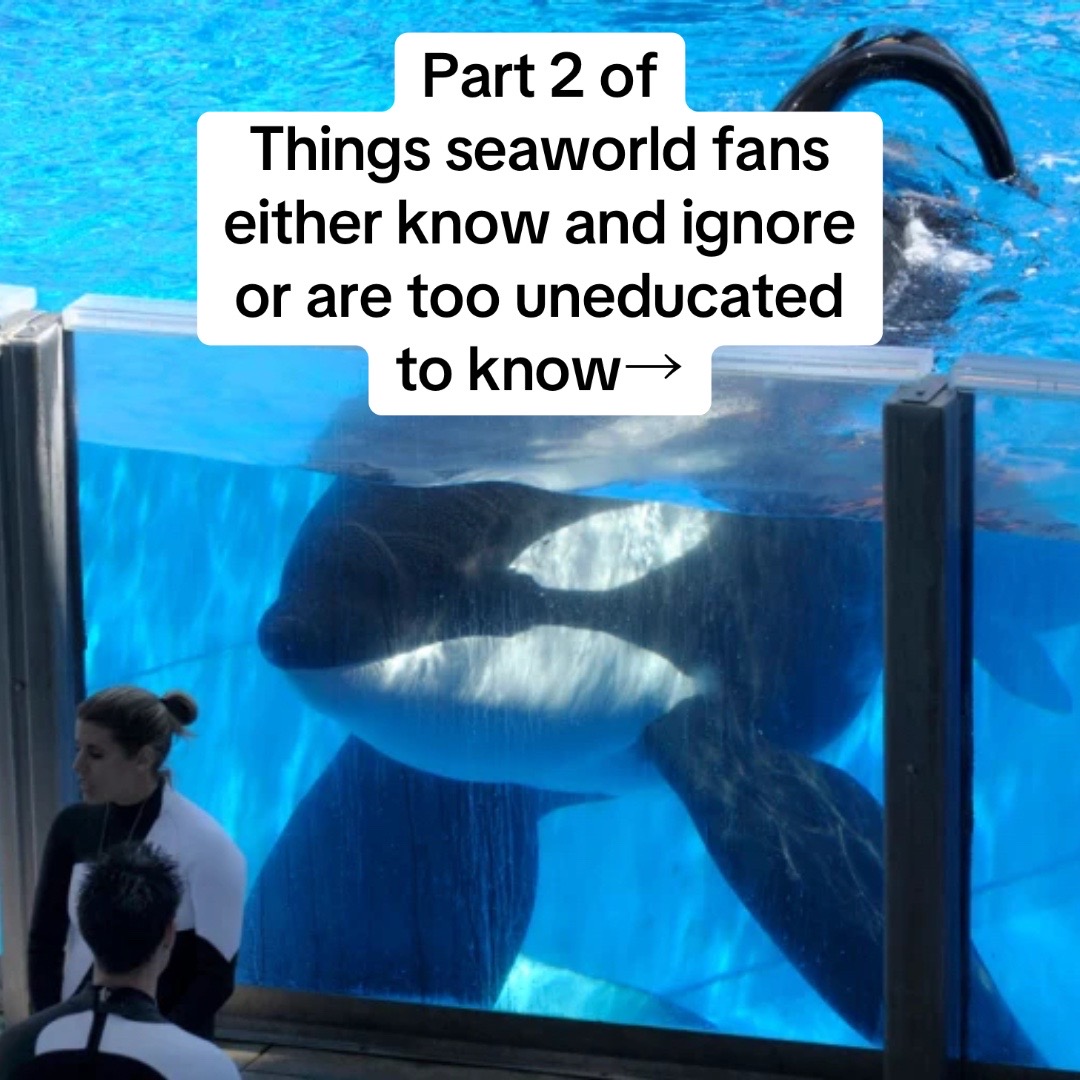 @animalrightsdaily