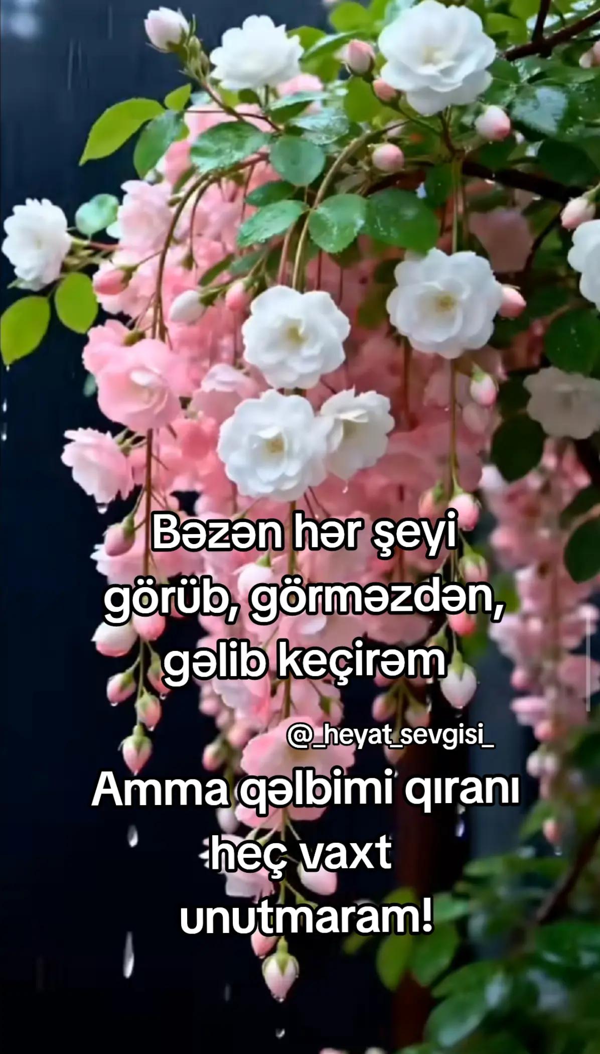 @💖✨