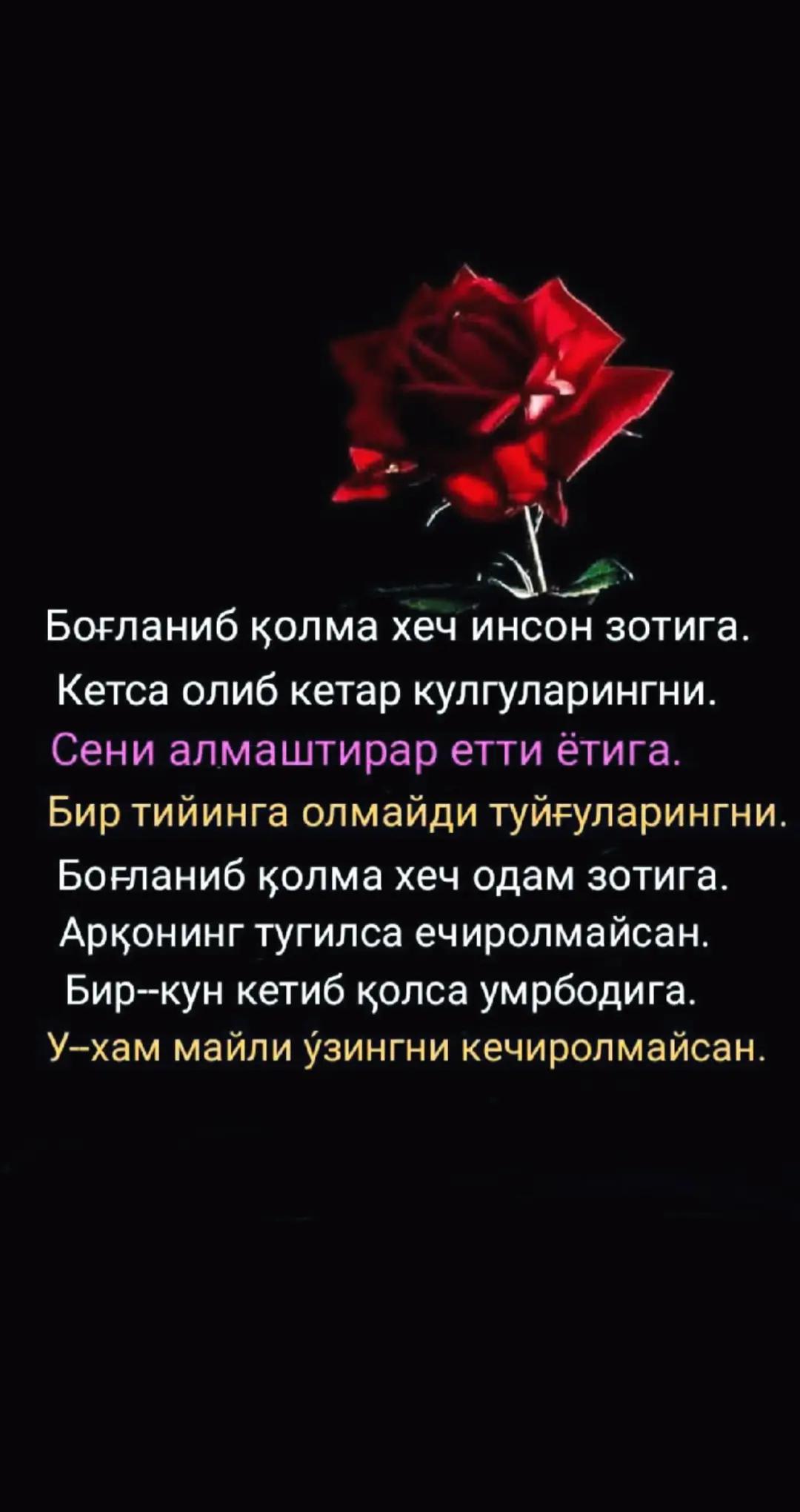 @ЗЕБО 24