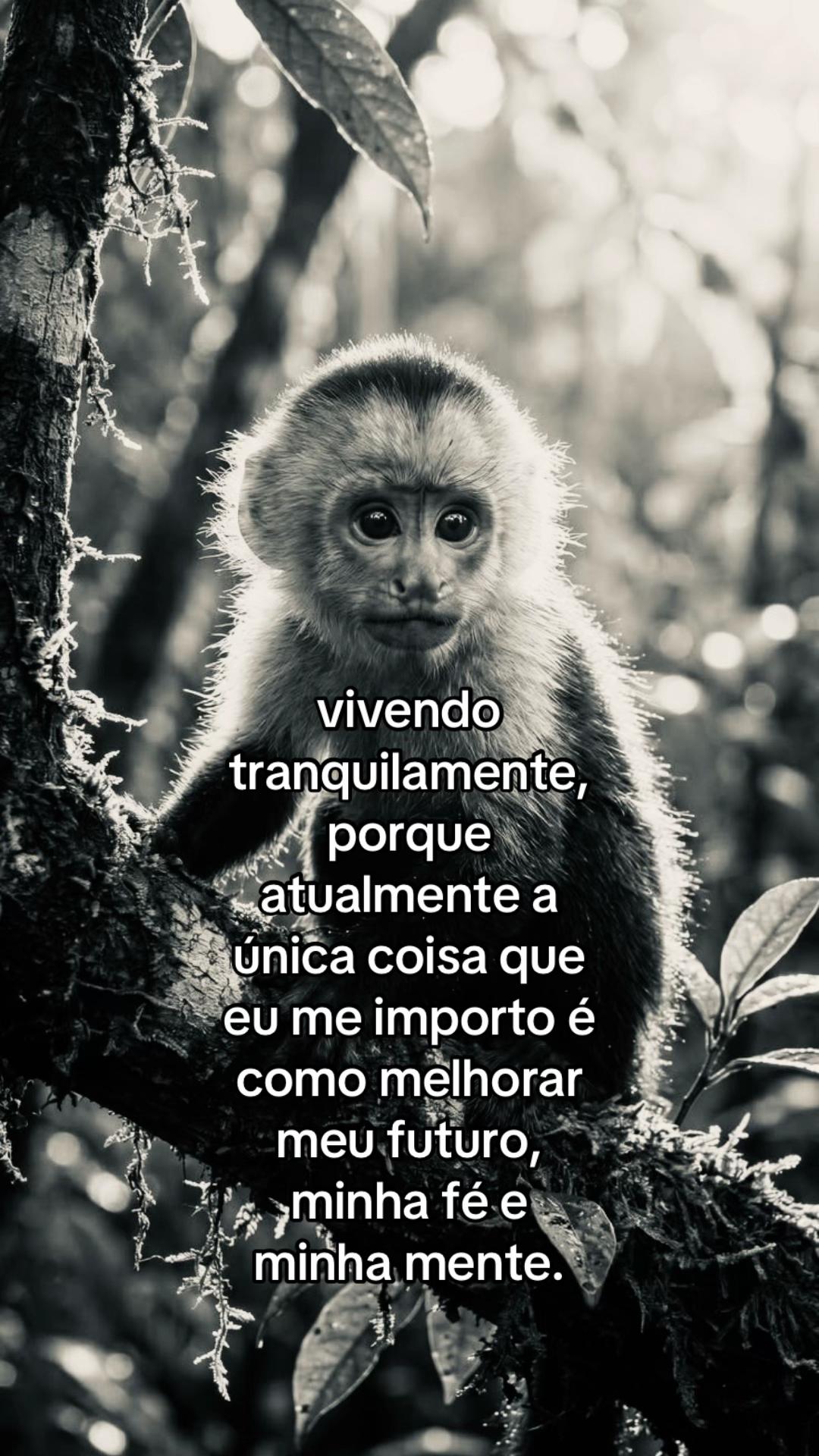@junin 