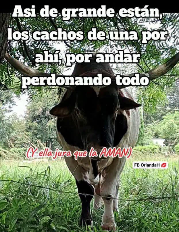 @😈😝Chaparrita Chingona😝😈