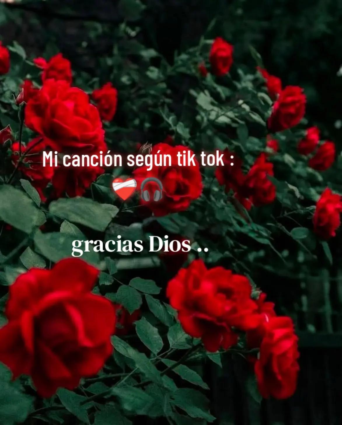 @🦋ƑÃŘƑÃĹĹà βĹǗẸ ŘỖβ🩵