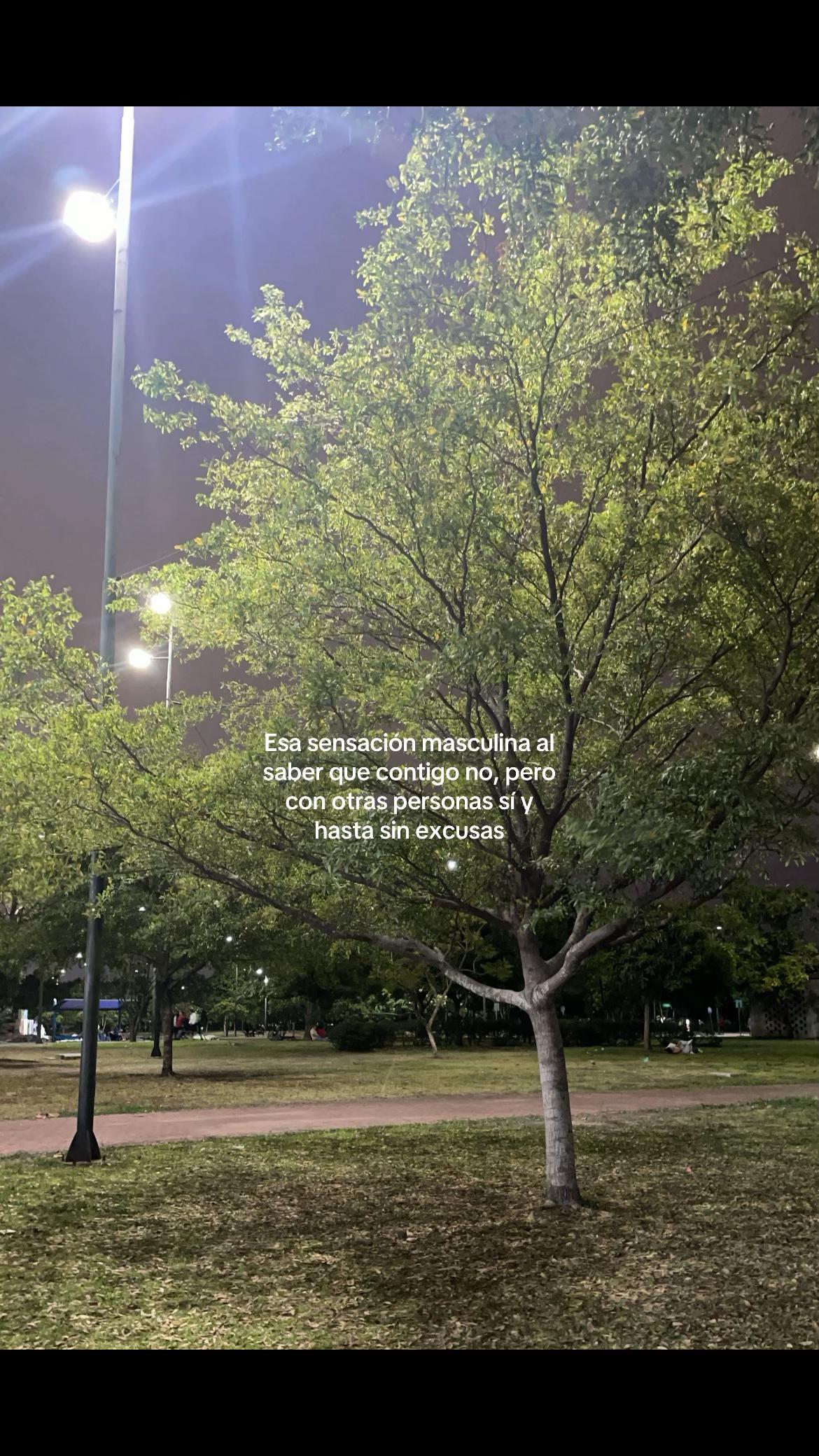 @A l e x a n d e r