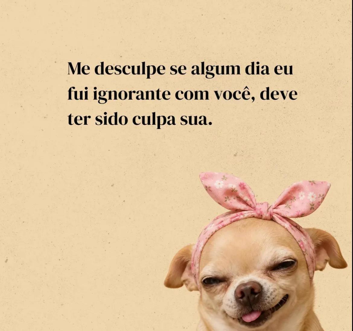 @Paula Vitti