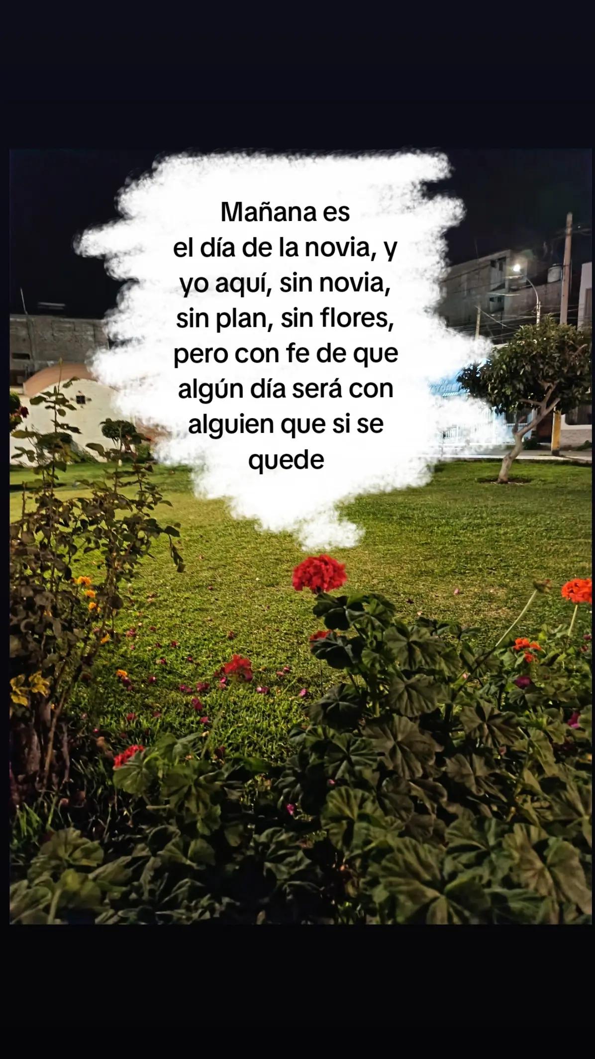 @𝖊.𝖋𝖗𝖆𝖓𝖓𝖐_𝟑𝟎𓆰𓆪