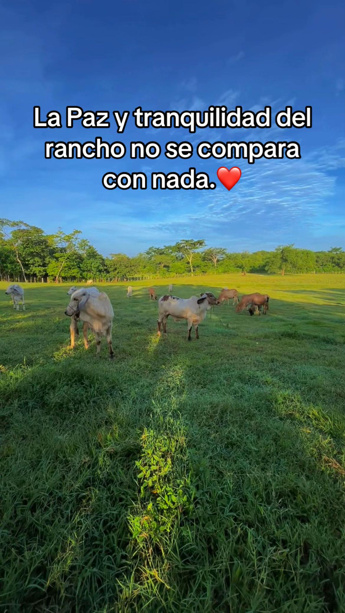 @Leti garcia