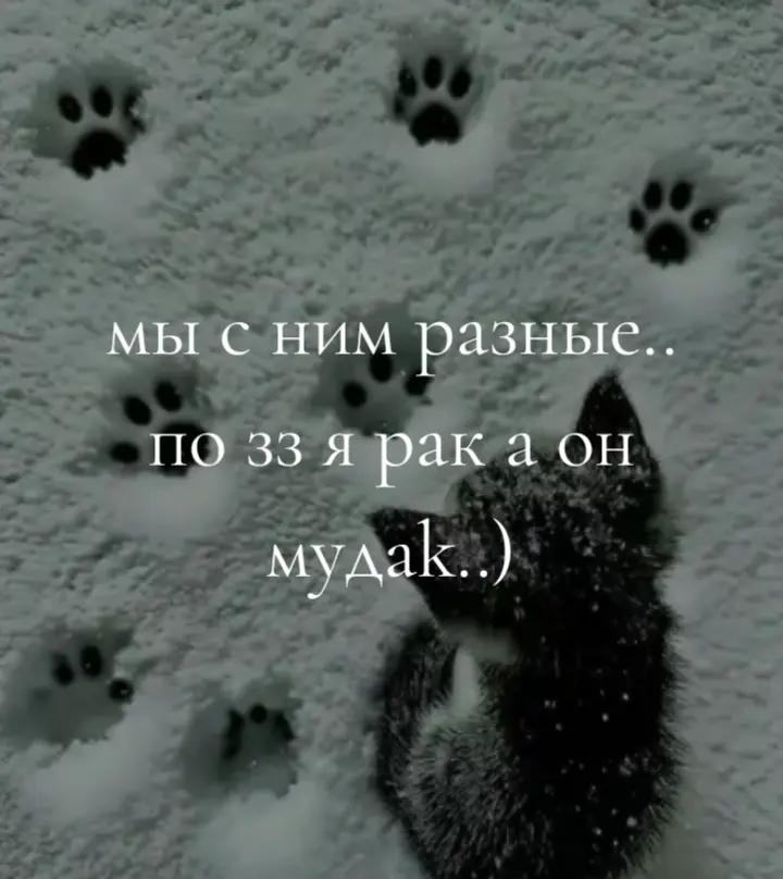 @лирика💮