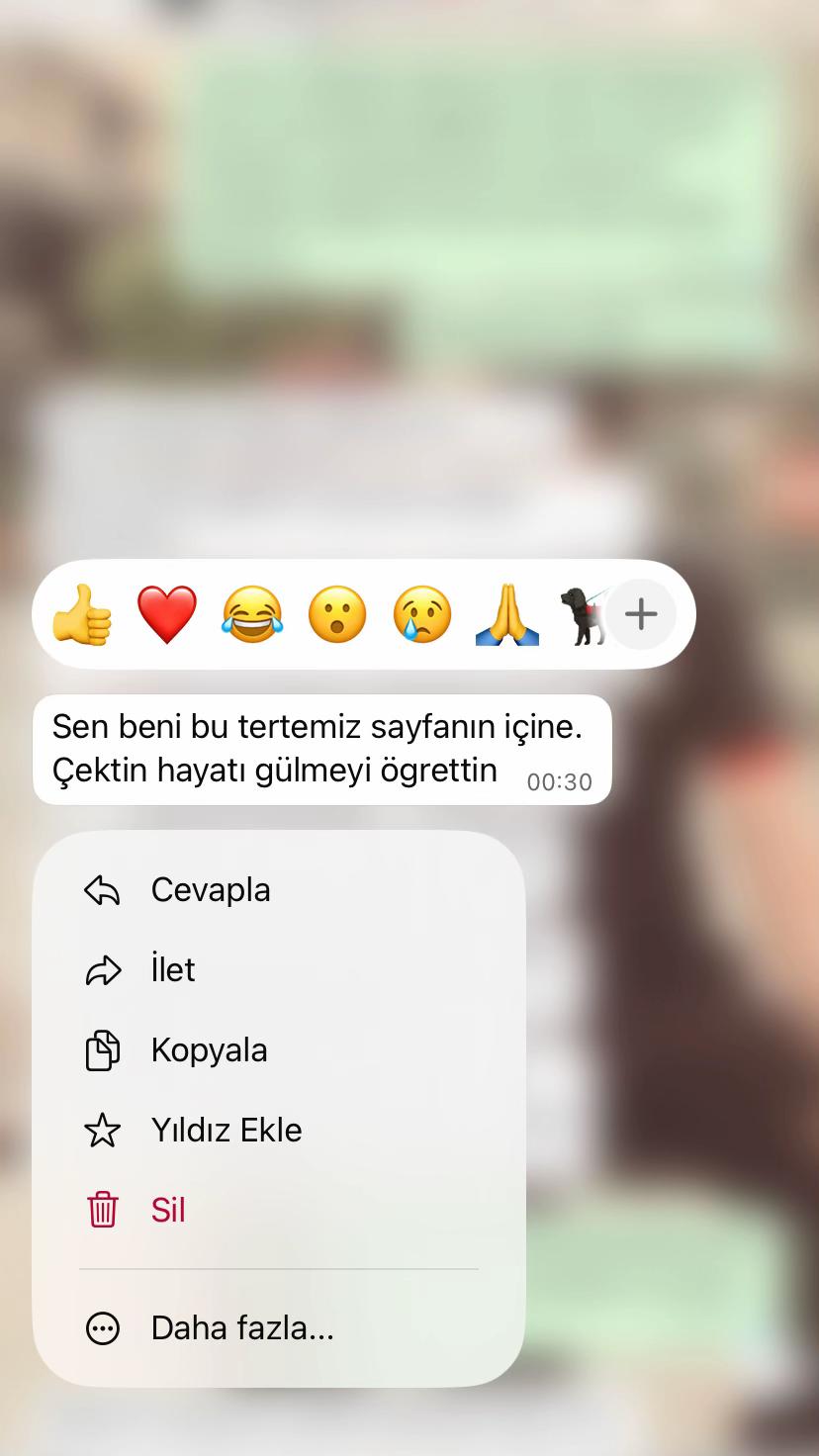 @Tuğba Toğluk💙