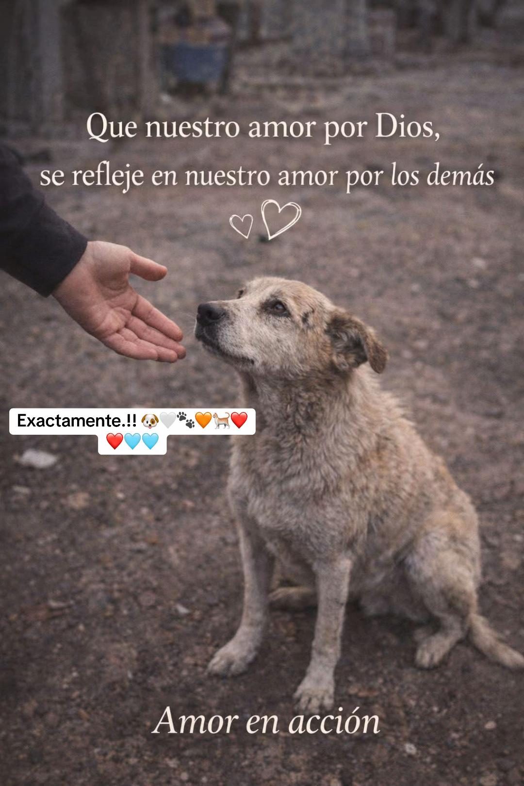 @Patricia Briceño