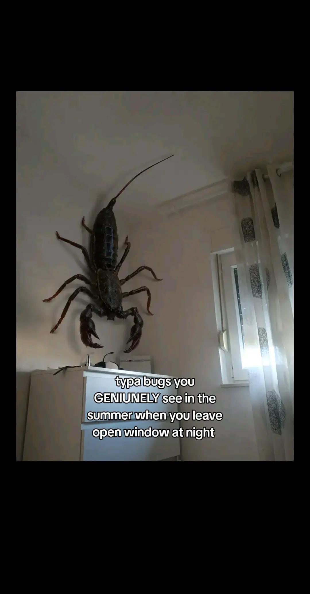 @ඞ