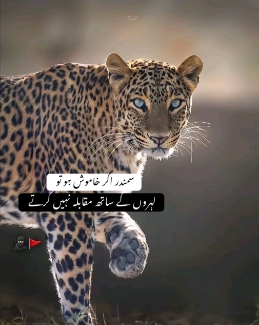 @#S🦁A🚩R🔥K🦂A🦅R☝🏻