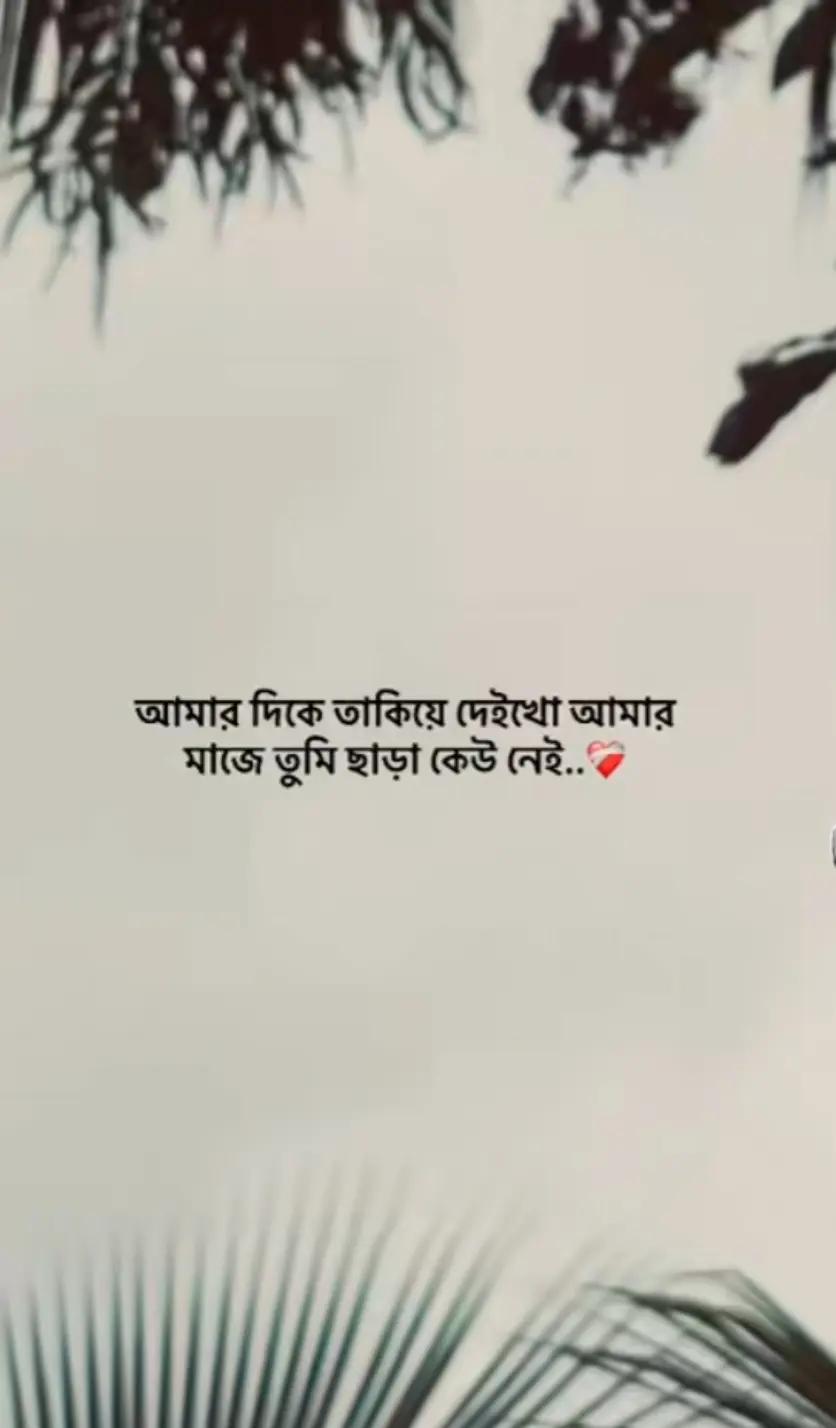 @MD imran.🌼🖤🌺