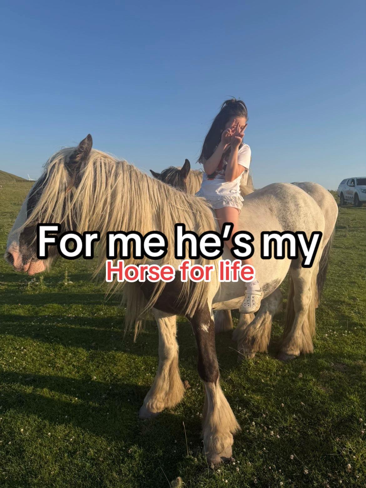 @Poppy ๐๐บ