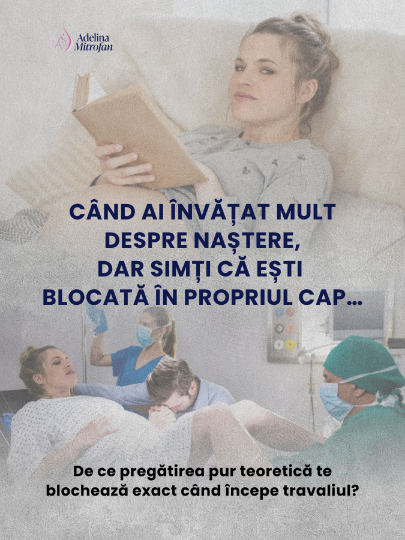 @Adelina Mitrofan