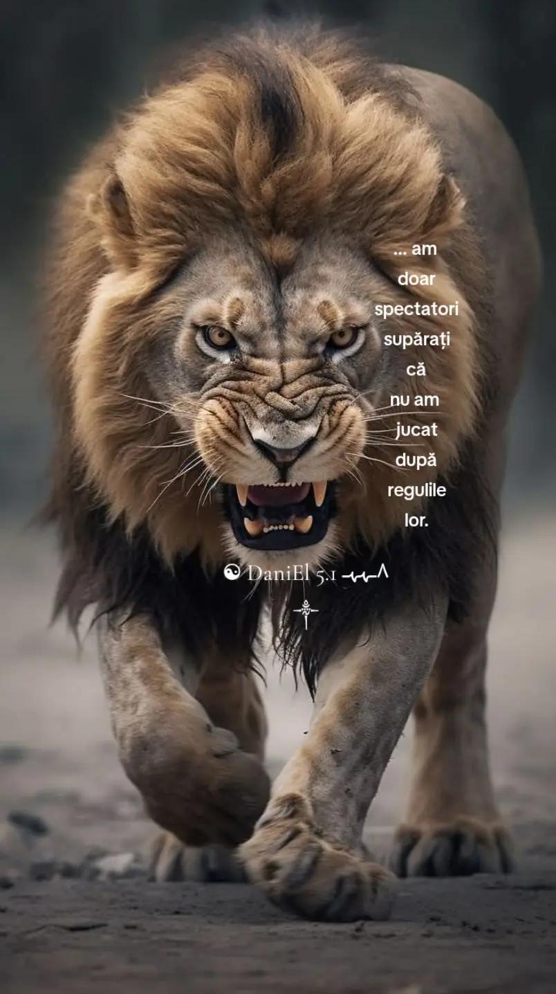 @☯ DaniEl 5.1 ٨ـﮩﮩـ