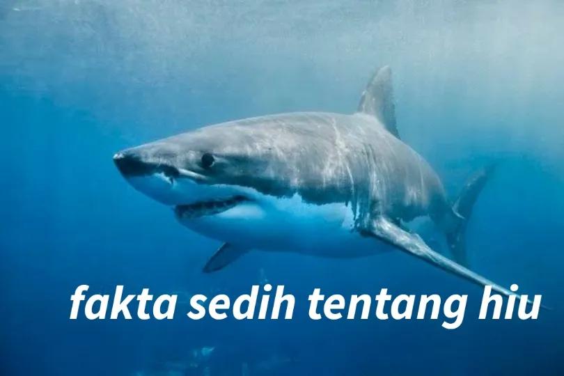 @be a good boy