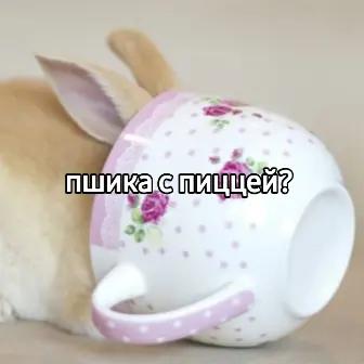 @чокопао 🍅