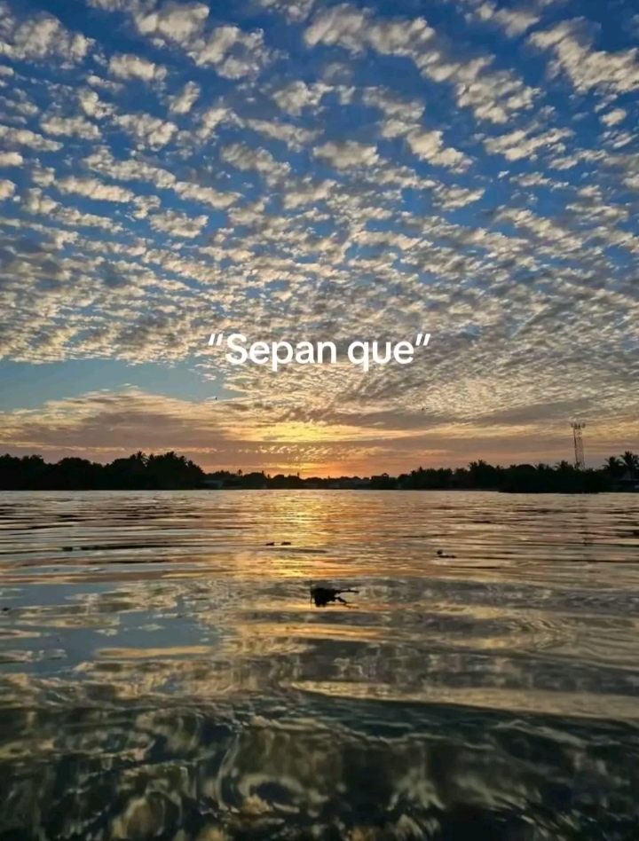 @🏎️💸Lopéz🍀🥷