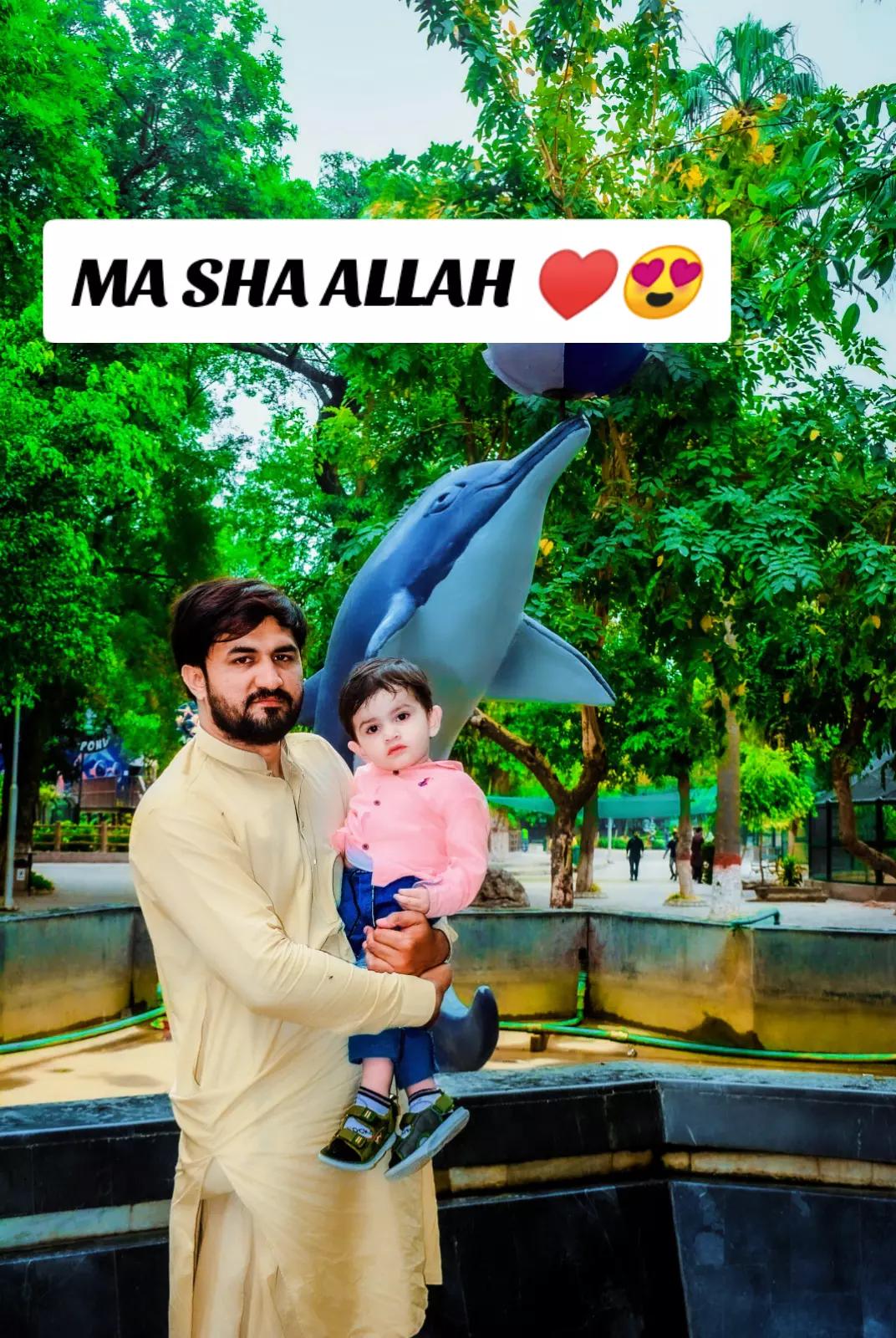 @Malik Ali awan