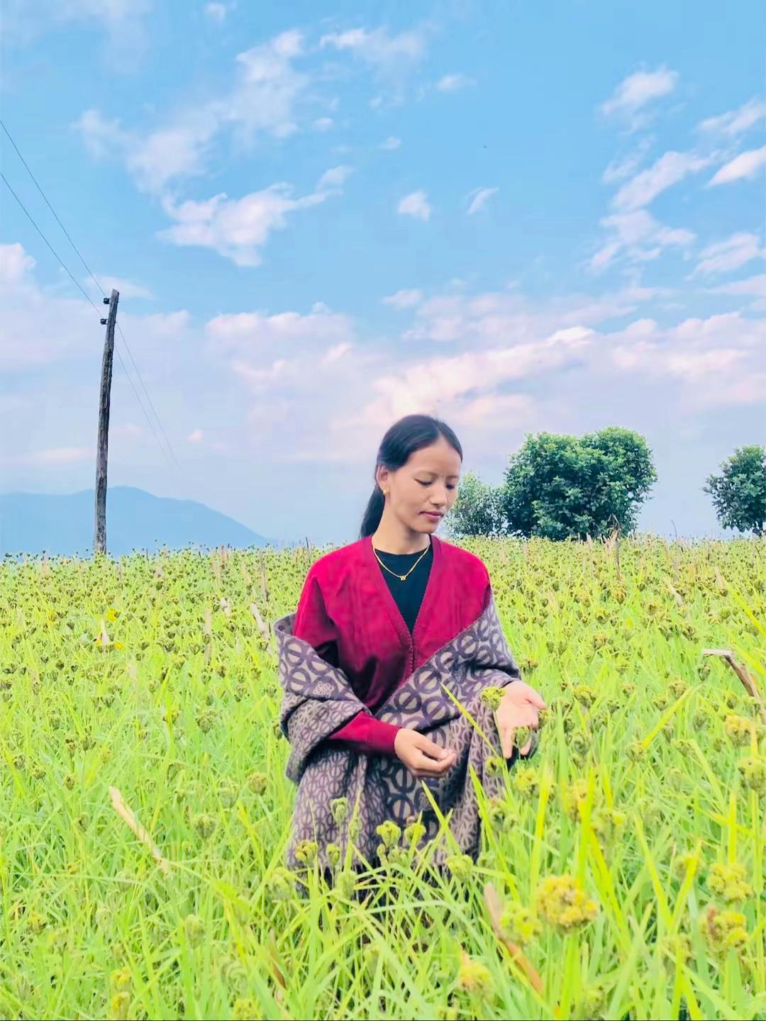 @Sanchamaya🕊️