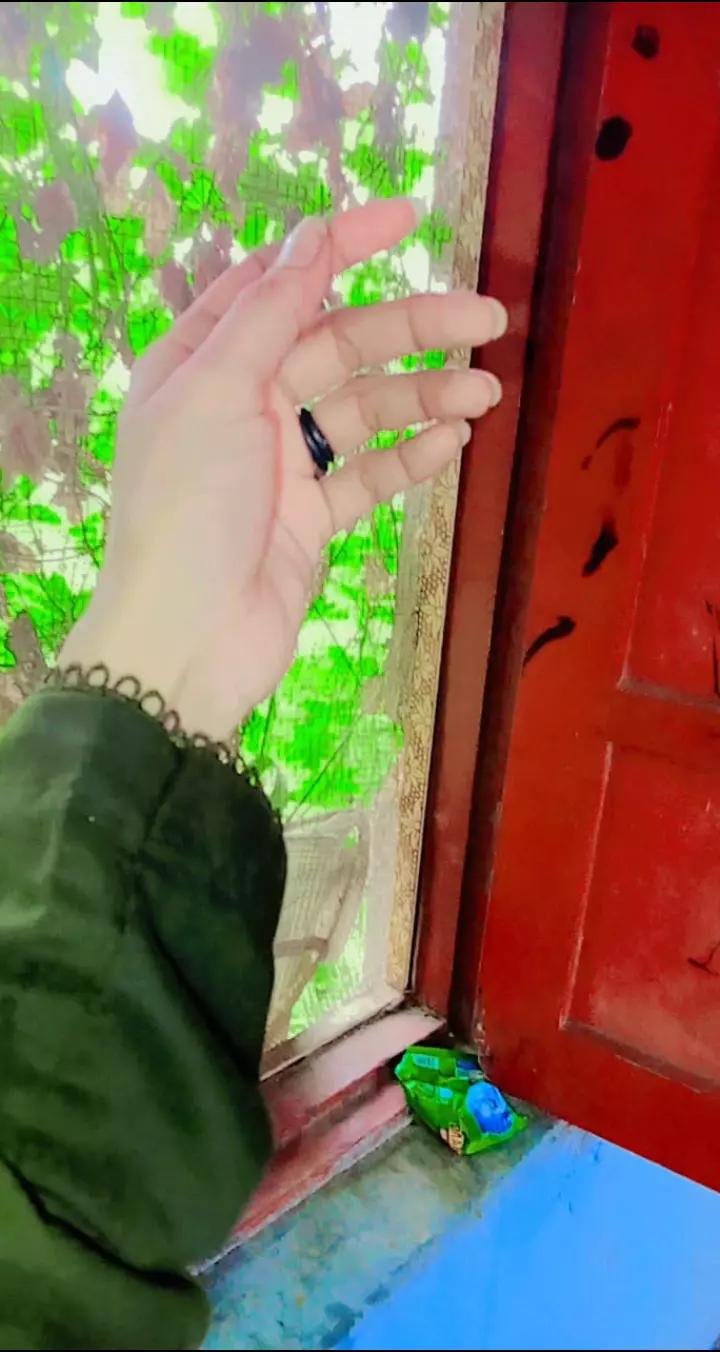 @papa ki pari maa ki ladli