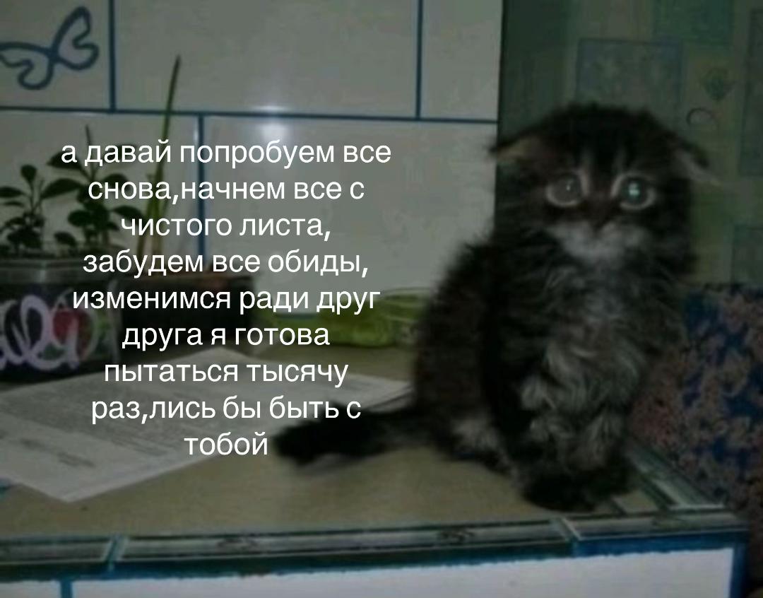 @𝘾𝙝𝙚𝙚𝙨𝙚𝙘𝙖𝙠𝙚(!)