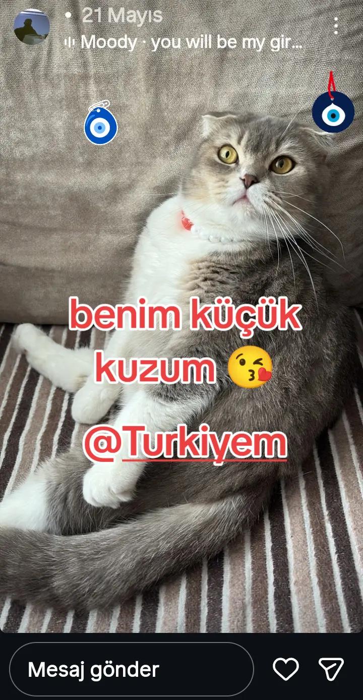@T&uuml;rkiyem