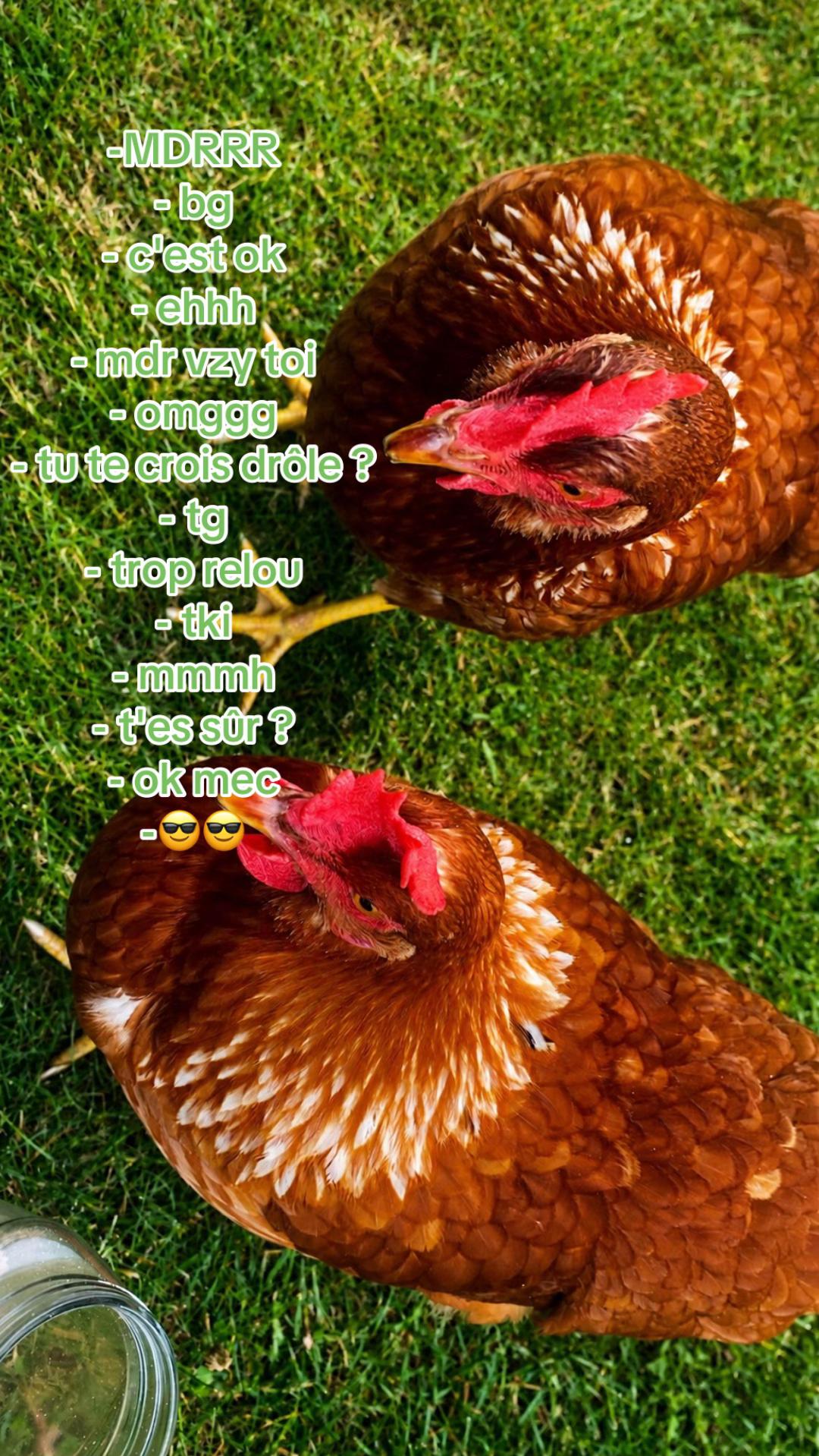 @𝑼𝒔𝒆𝒓.𝑬'🐥
