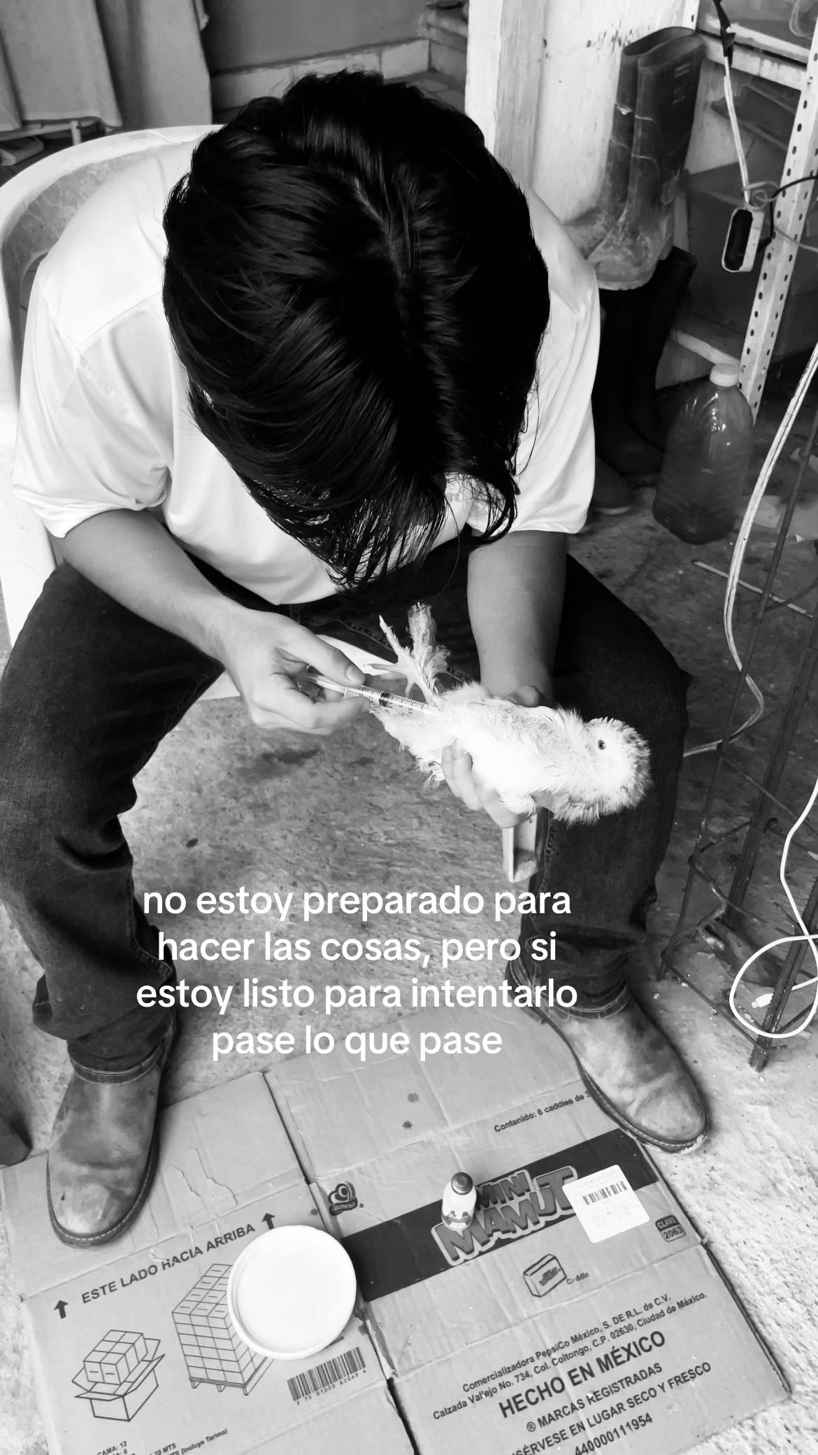@Adrián__v_v