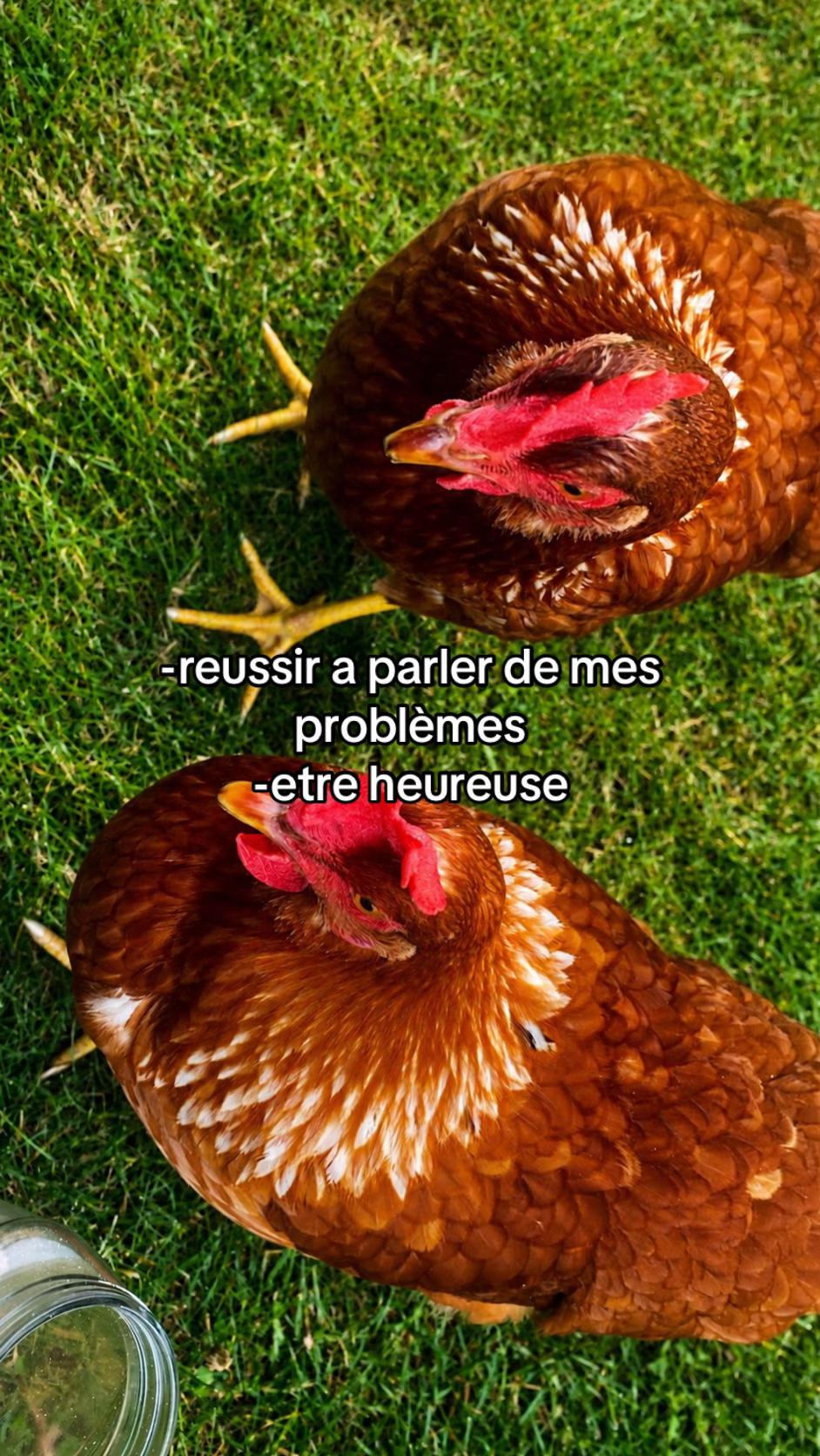 @𝑼𝒔𝒆𝒓.𝑬'🐥