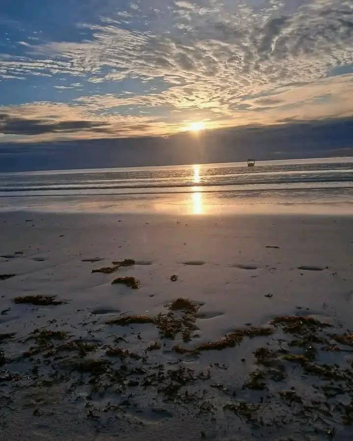 @Anam 003